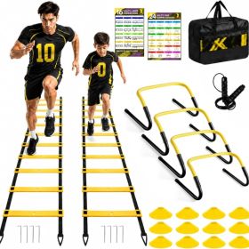 2 Pack Agility Ladder For Soccer.  Speed Training Equipment Set. Total of 26 Ft Agility Ladder, 12 Cones, 4 Adjustable Hurdles, Rope.