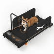 Small Dog Treadmill 2026 Edition - High-Value, Low-Noise Pet Exercise Machine for Indoor Puppy Training, Portable Running Wheel