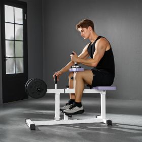 Adjustable Steel Seated Calf Raise Exercise Strength Training Gym Equipment, Purple (Option: Purple-1090x480x150 mm)